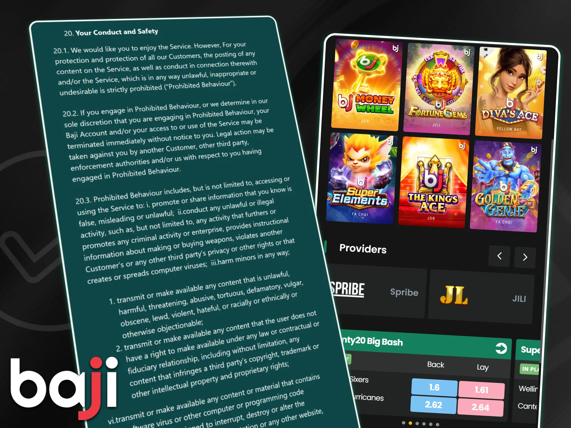 Terms and conditions text regarding user conduct appears next to Baji game providers to ensure safe play.